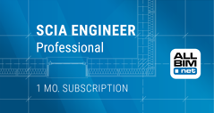 SCIA Engineer Pachet Profesional (Inchiriere pe 1 luna)